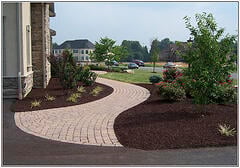 winding path