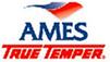 Ames Logo