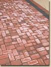 Efflorescence on a brick patio
