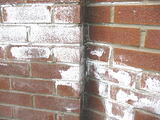Efflorescence on brick 1