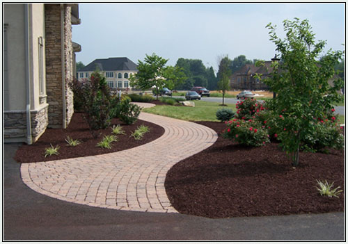 winding path